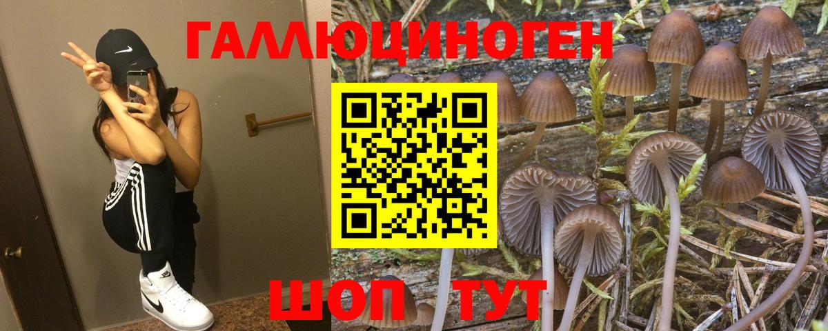 Бутурлиновка  Псилоцибиновые грибы Psilocybine cubensis  Вход с VPN 